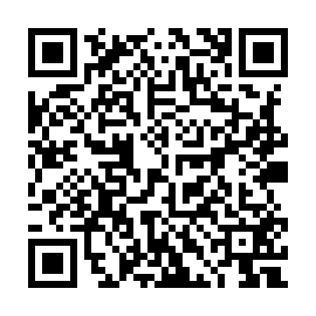 QR code for 4DIY520