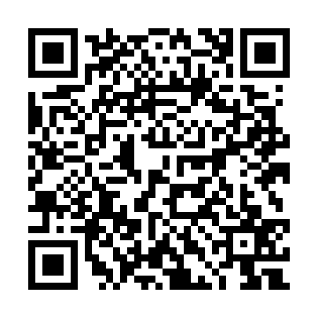 QR code for 4DMG379