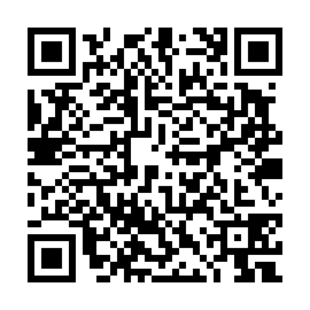 QR code for 4DQT387
