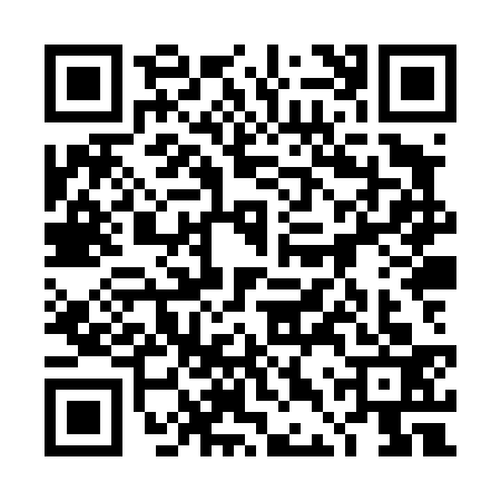 QR code for 4DXT333