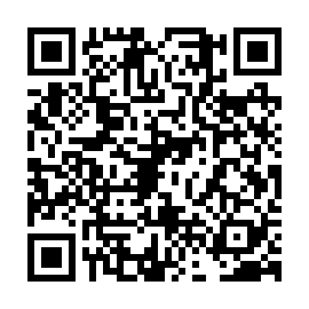 QR code for 4FER295