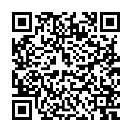 QR code for 4FSI438