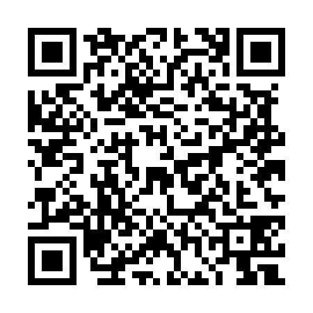 QR code for 4GEM386