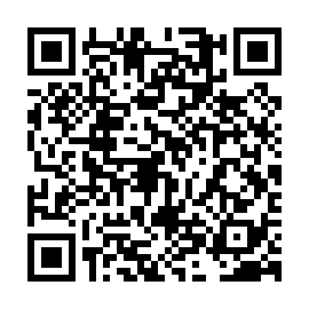 QR code for 4HCP383