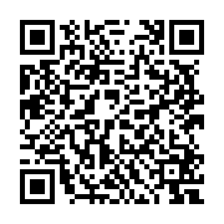 QR code for 4HIN446