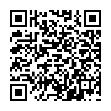 QR code for 4HNS666