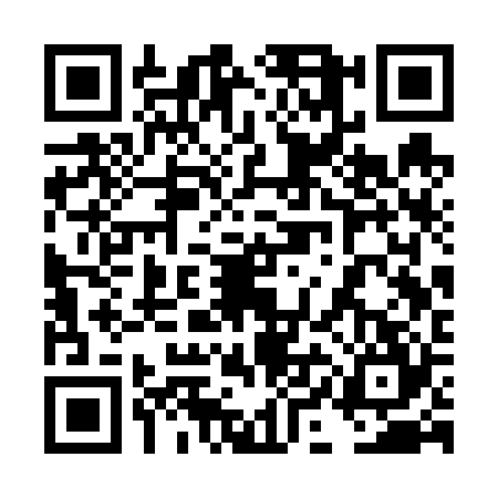 QR code for 4ICV248