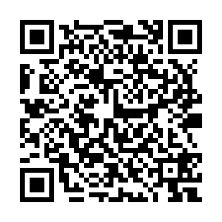QR code for 4IIZ286