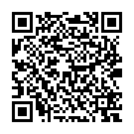 QR code for 4IIZ295