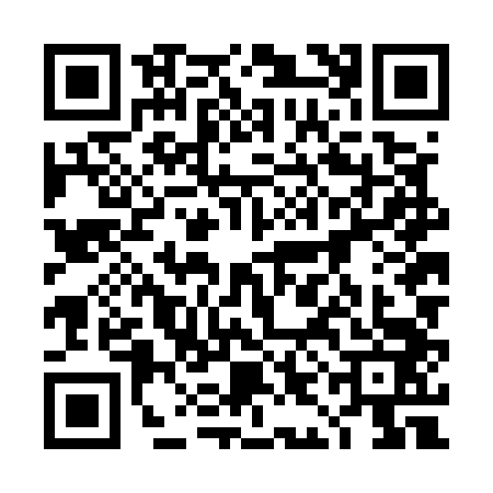QR code for 4INE439