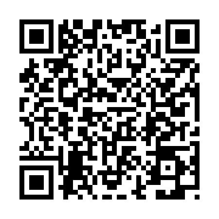 QR code for 4ION048