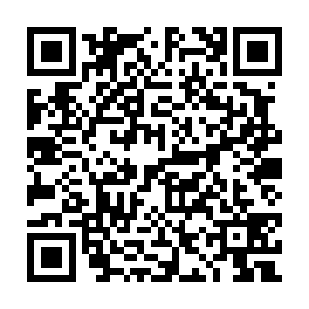 QR code for 4IPT394