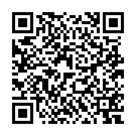 QR code for 4LAO511