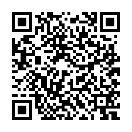 QR code for 4LDG524