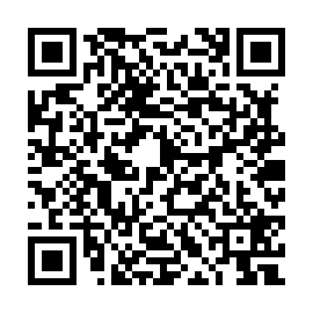 QR code for 4LGX296