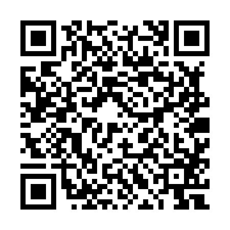 QR code for 4LGX866