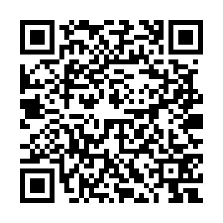 QR code for 4LUU739