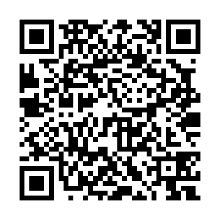 QR code for 4LZP382