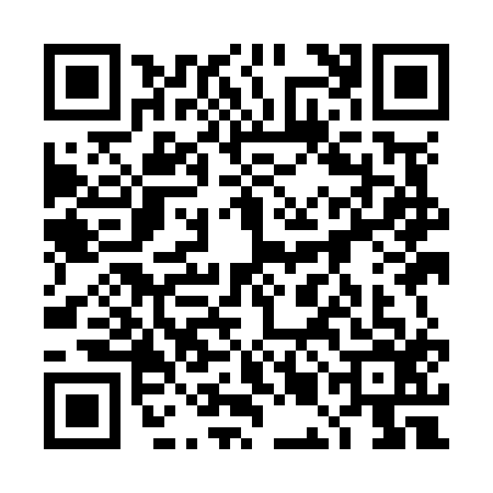 QR code for 4MIN161