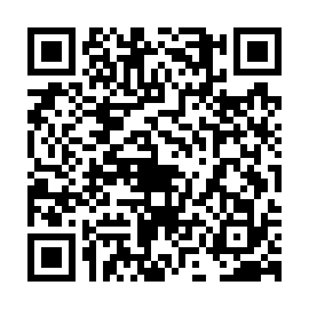 QR code for 4MMG329