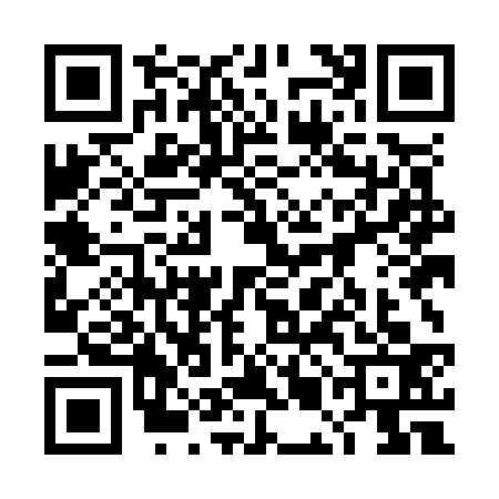 QR code for 4MMO336