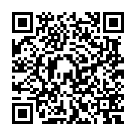 QR code for 4MPL595