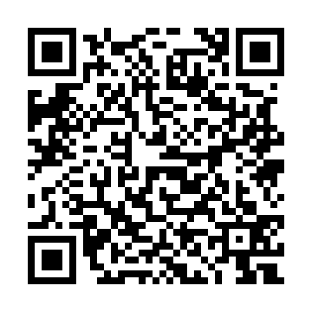 QR code for 4N15334