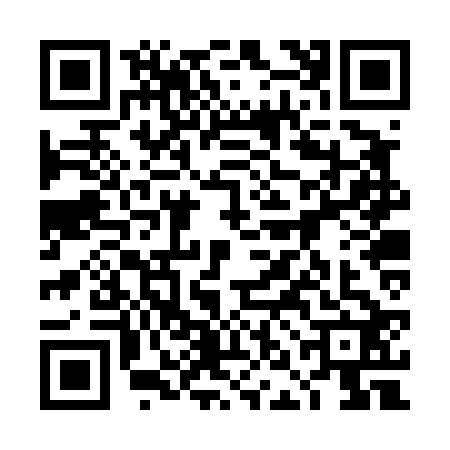 QR code for 4NBT228
