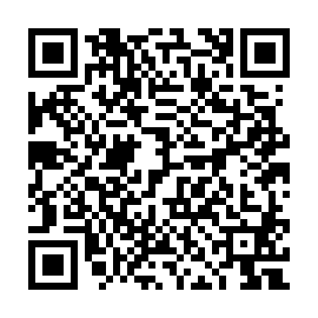 QR code for 4NKG809