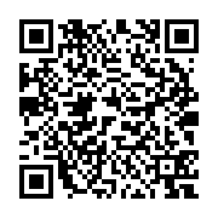 QR code for 4NLR313