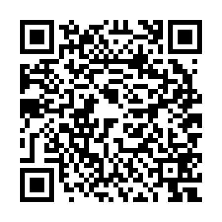 QR code for 4NNB593