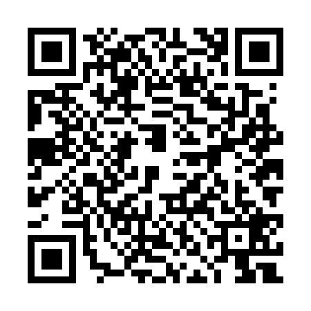 QR code for 4NNG295
