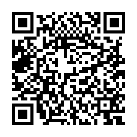 QR code for 4OSI538