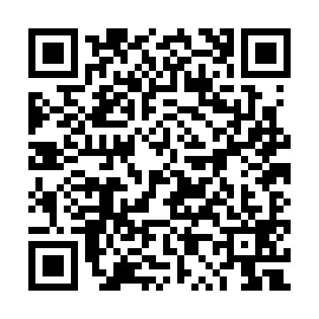QR code for 4P0C995