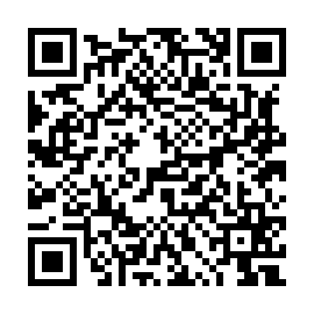 QR code for 4PAH655