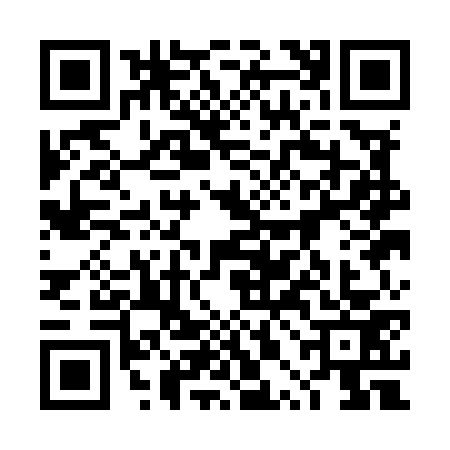 QR code for 4PAM732
