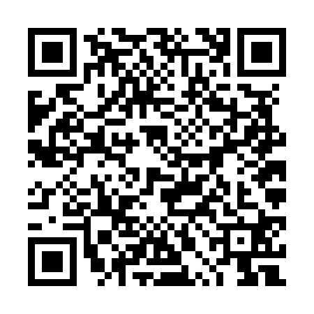 QR code for 4PFN208