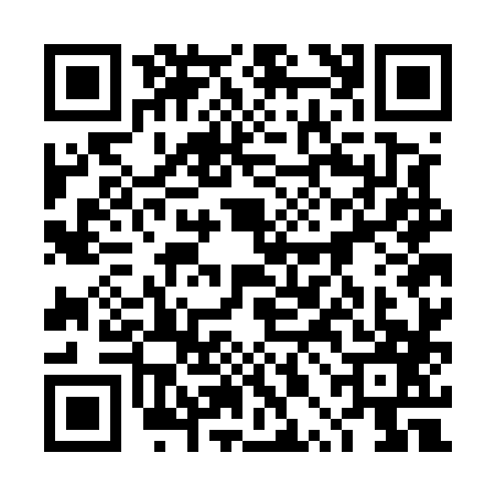 QR code for 4PGE875