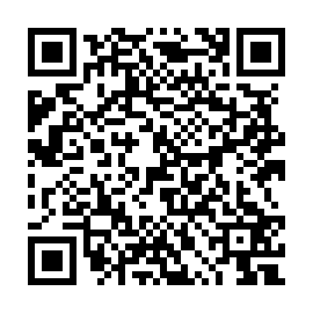 QR code for 4PIN238