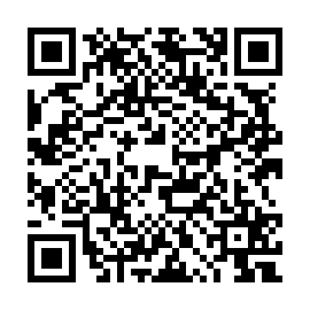 QR code for 4PIN252