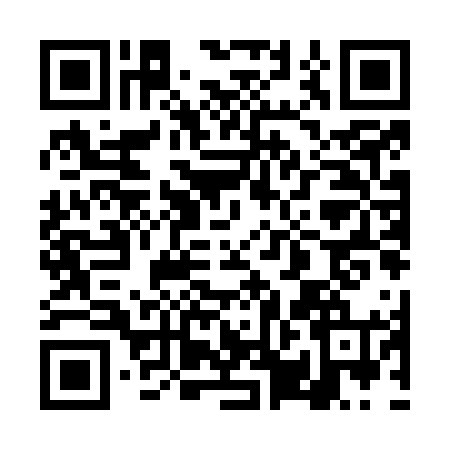 QR code for 4PIO641