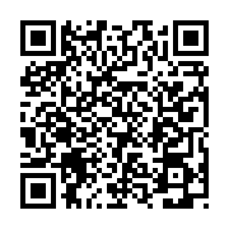 QR code for 4PIX641