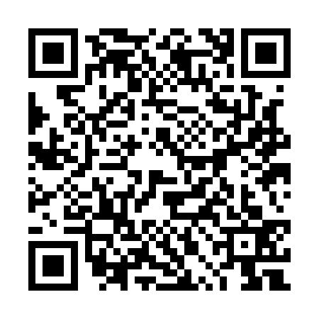 QR code for 4PKA335