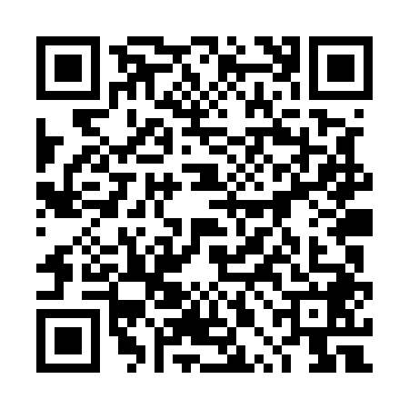 QR code for 4PLU481