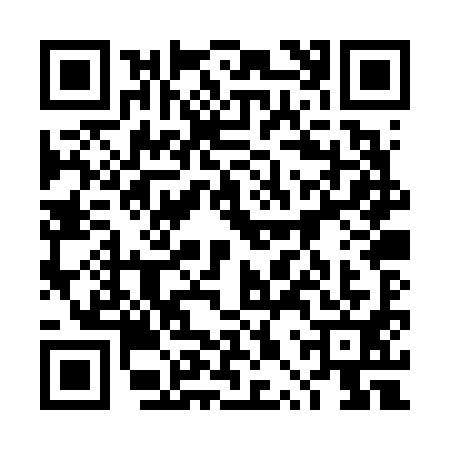 QR code for 4PPV919