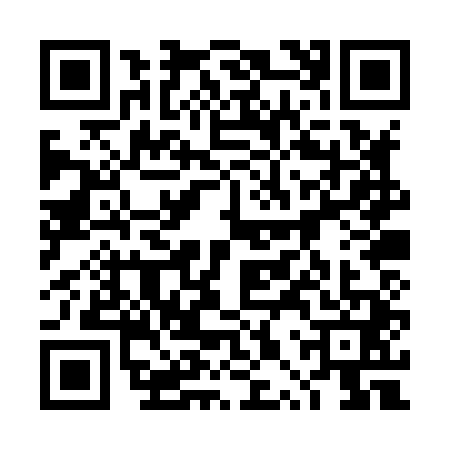 QR code for 4PPX419