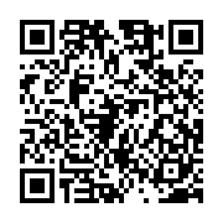 QR code for 4PPX608