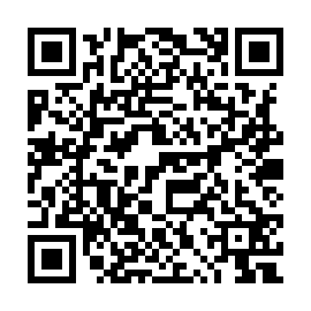 QR code for 4PPY221