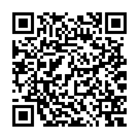 QR code for 4PVE379