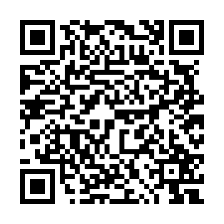 QR code for 4PWN273